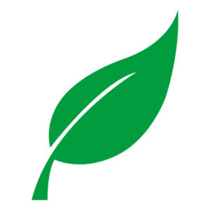 Cintas Ecológicas de algodón