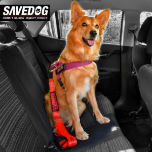Savedog cinturón para perros