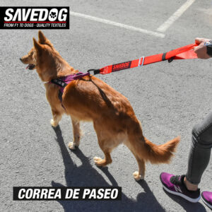 CINTURÓN DE SAVEDOG SEGURIDAD PARA PERROS